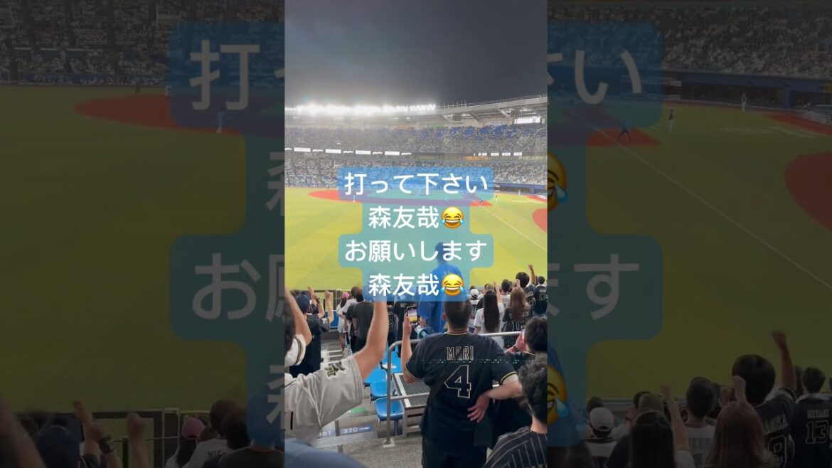 オリックスバファローズ　打って下さい　お願いします　森友哉　😂