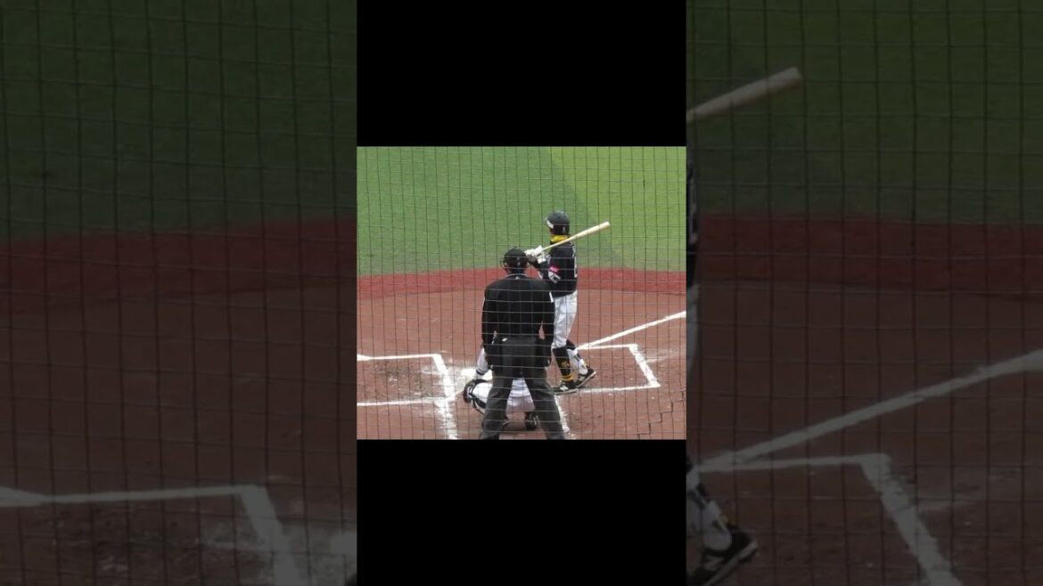 ホークス牧原大成バッティングフォーム千葉ロッテマリーンズ対ソフトバンクホークス2024年3月8日