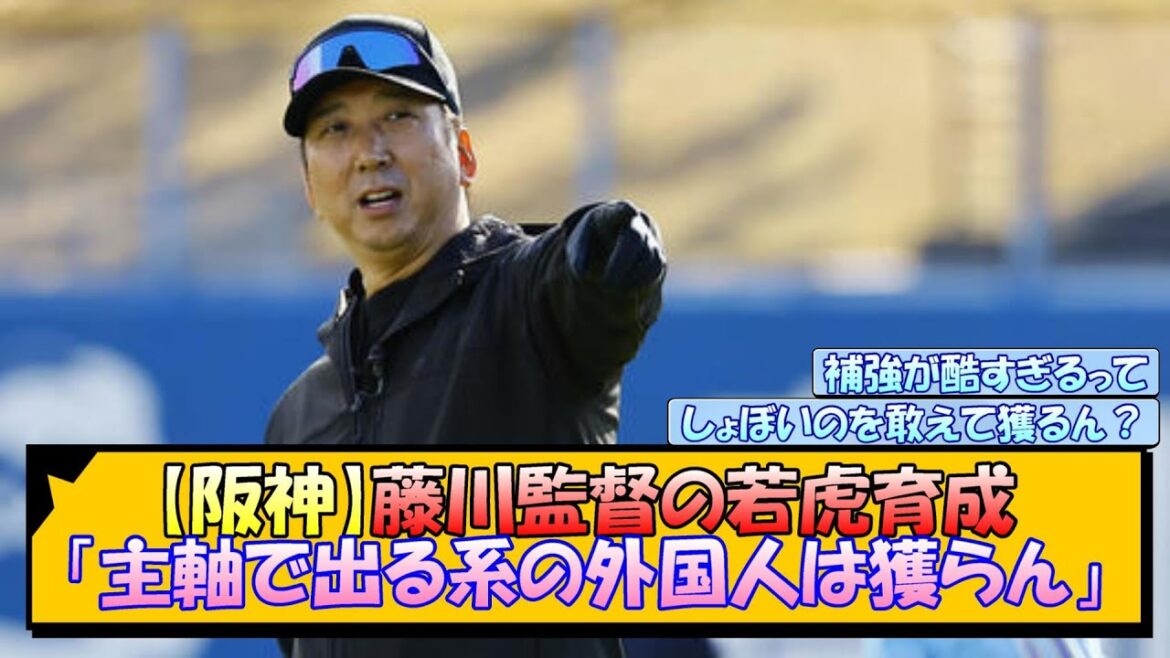 【阪神】藤川監督の若虎育成「主軸で出る系の外国人は獲らん」【なんJ/2ch/5ch/ネット 反応 まとめ/阪神タイガース/藤川球児】