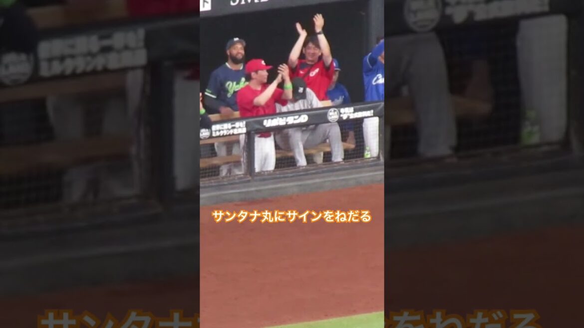 【オールスター】サンタナが丸佳浩にサイン求めたりしとる（ NPBオールスター 2024年7月23日）