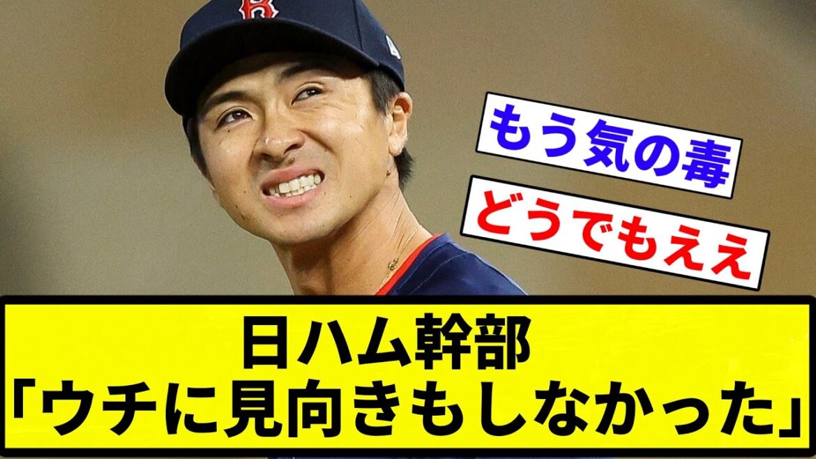 【お前 見向きせんかったな】日ハム幹部「ウチに見向きもしなかった」【なんJ反応】【プロ野球反応集】【2chスレ】【1分動画】【5chスレ】