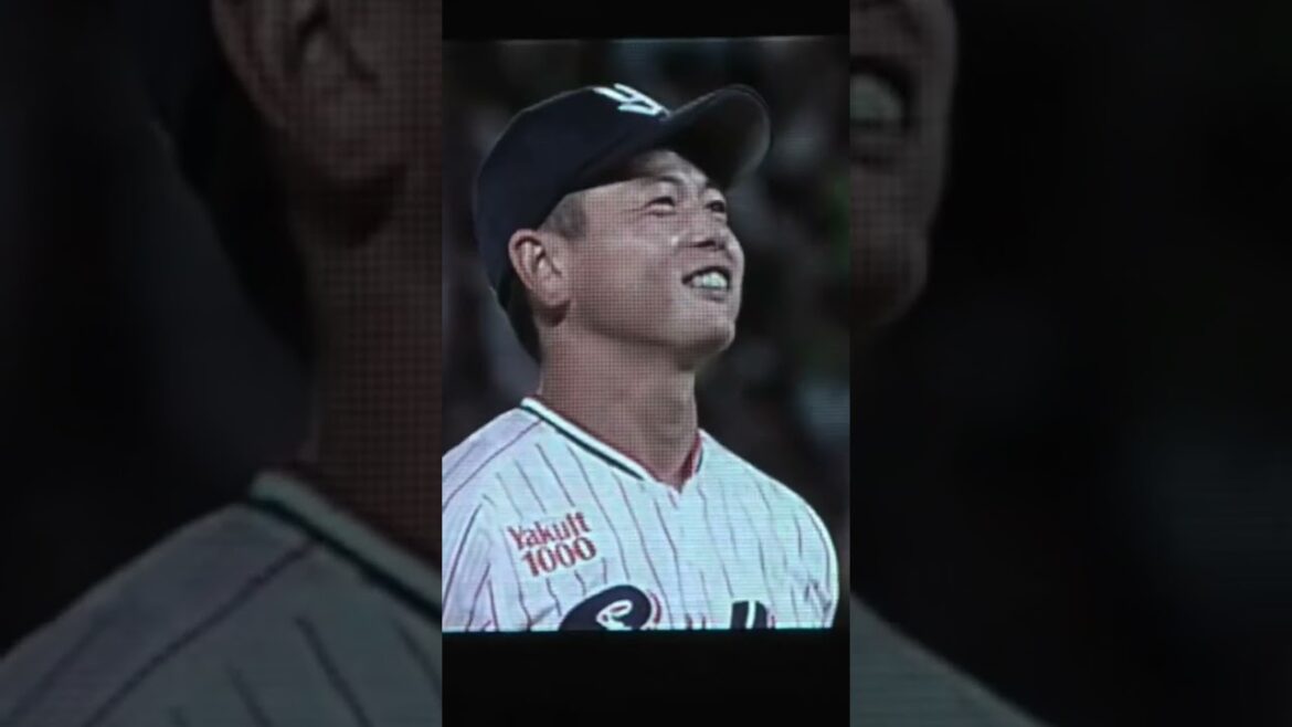 高津監督「山崎晃大朗は中身は男前」 #東京ヤクルトスワローズ #shorts