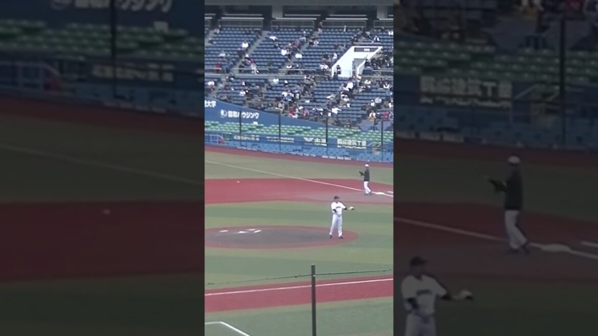【合同トライアウト】ジャイアンツ笹島尚樹が投球練習2024年プロ野球12球団合同トライアウト11月14日