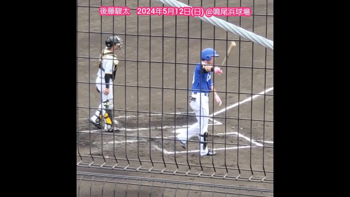 20240512　駿太の打撃フォーム　#shorts　#後藤駿太　#バッティング　#打撃　#バッティング打撃　中日ﾄﾞﾗｺﾞﾝｽﾞ@阪神鳴尾浜球場［ｳｴｽﾀﾝ･ﾘｰｸﾞ 2軍戦］鳴尾浜