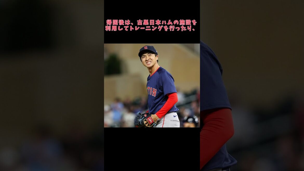 上沢直之が叩かれる理由 #上沢直之 #福岡ソフトバンクホークス #北海道日本ハムファイターズ #プロ野球 #ゆっくり解説 #Shorts