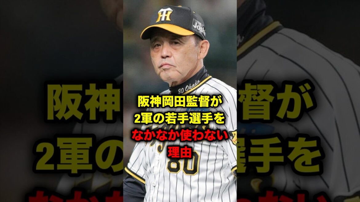 阪神岡田監督が2軍の若手選手をなかなか使わない理由