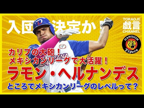 『阪神タイガース』カリブの大砲!ラモン・ヘルナンデス!ところでメキシカンリーグのレベルって? 『阪神タイガース』カリブの大砲!ラモン・ヘルナンデス!ところでメキシカンリーグのレベルって?