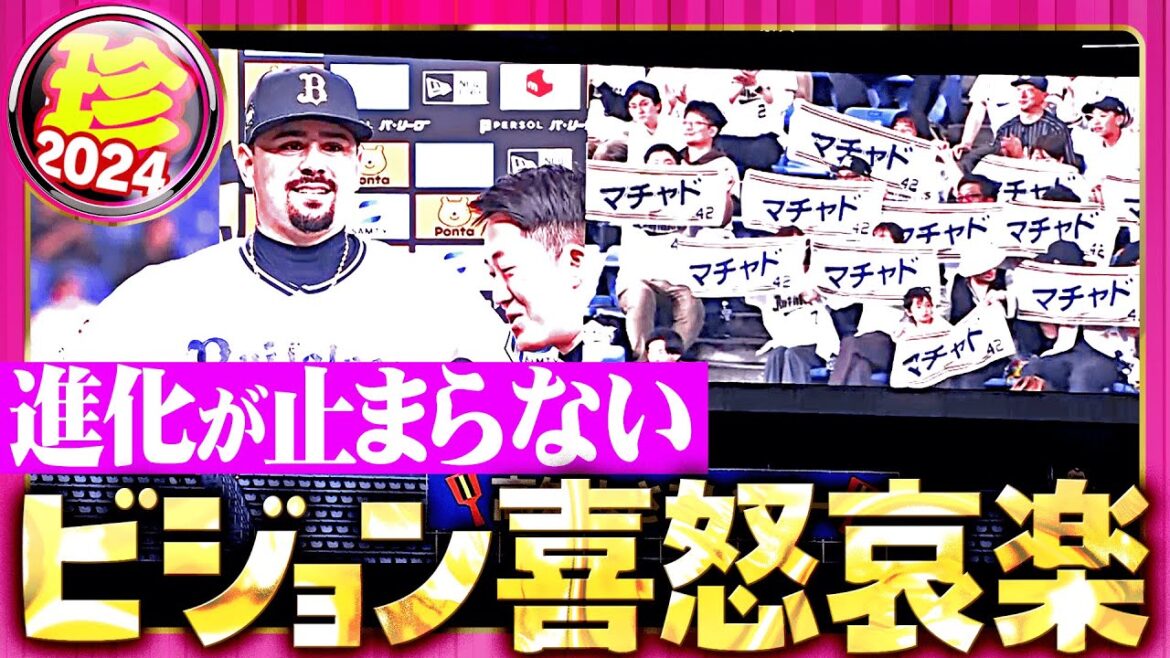 【止まらぬ進化】喜怒哀楽が詰まったビジョンにもプロの仕事【珍プレー】