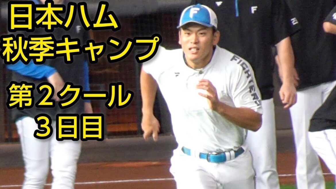 日本ハム秋季キャンプ第２クール３日目2024.11.8