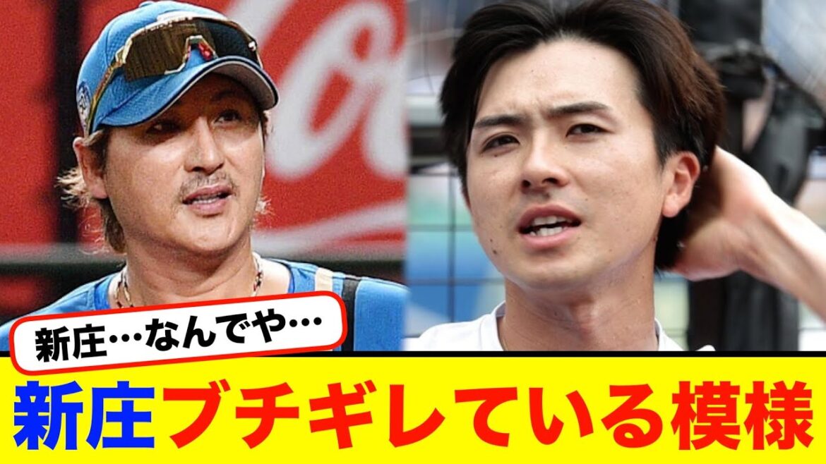 新庄ブチギレている模様【#なんj】【#2ch】【#5ch】【#野球反応集】