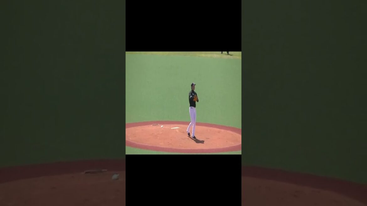 【マリーンズ】二木康太の投球フォーム2024年4月19日