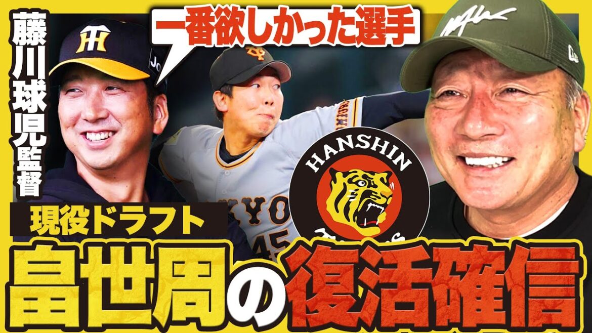 【現役ドラフト畠世周】阪神藤川新監督が来年春の一軍キャンプを明言‼︎中継ぎ起用で畠復活なるか⁉︎阪神の中継ぎ事情を高木豊が解説します‼︎