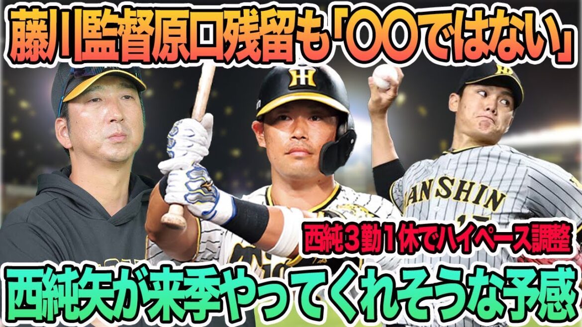 【藤川監督原口残留も「〇〇ではない」】西純矢が来季はやってくれそうな予感、開幕ローテ入りへ異例ハイペース調整　藤川球児　原口　西純矢　阪神タイガース　阪神