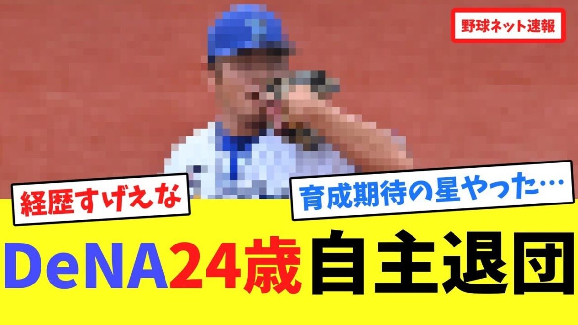 DeNA24歳自主退団【ネット反応集】