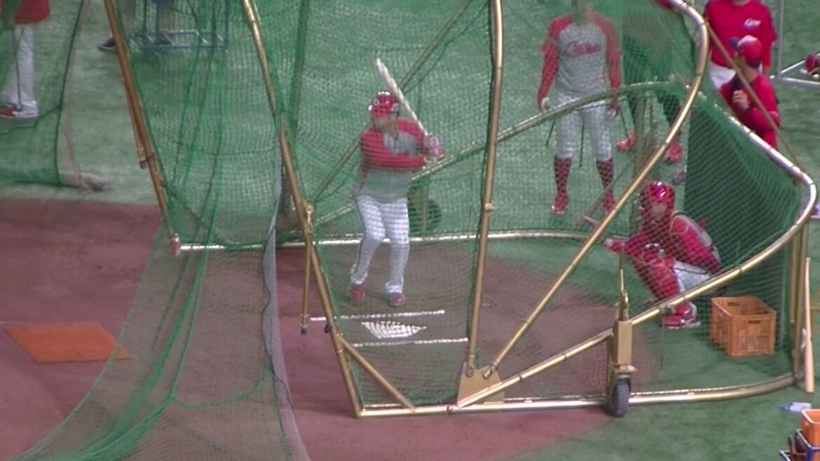 広島 田中広輔のフリーバッティング（2024年6月28日読売ジャイアンツ対 広島カープ）