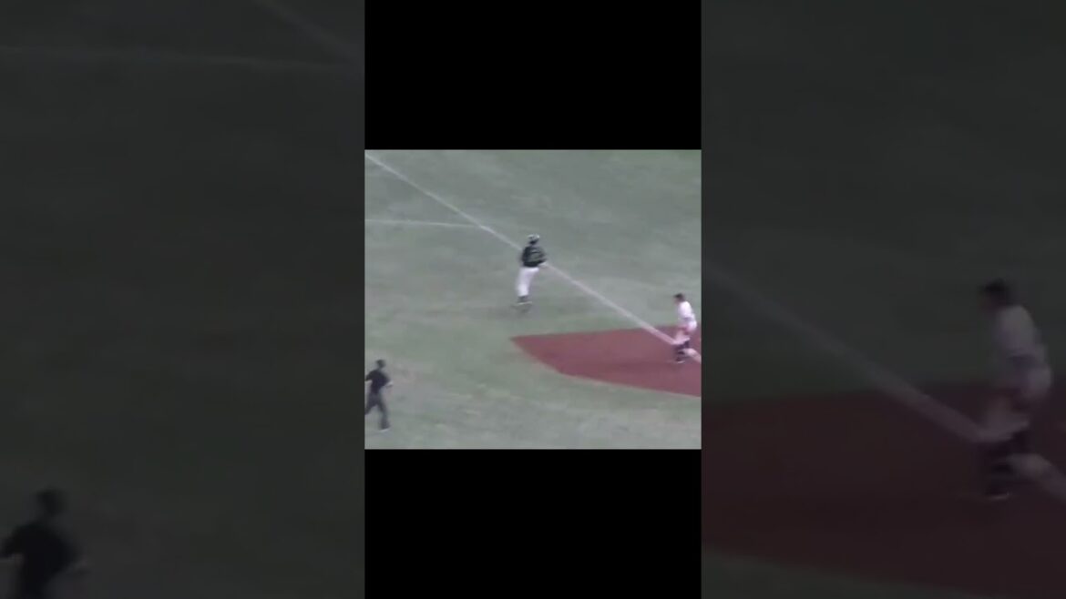 萩尾匡也がサンタナの大飛球をファインプレー（2024年4月30日 読売ジャイアンツ対 ヤクルトスワローズ） #萩尾匡也