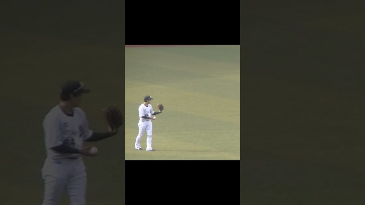 【合同トライアウト】鈴木将平と菅野剛士のキャッチボール 2024年プロ野球12球団合同トライアウト11月14日