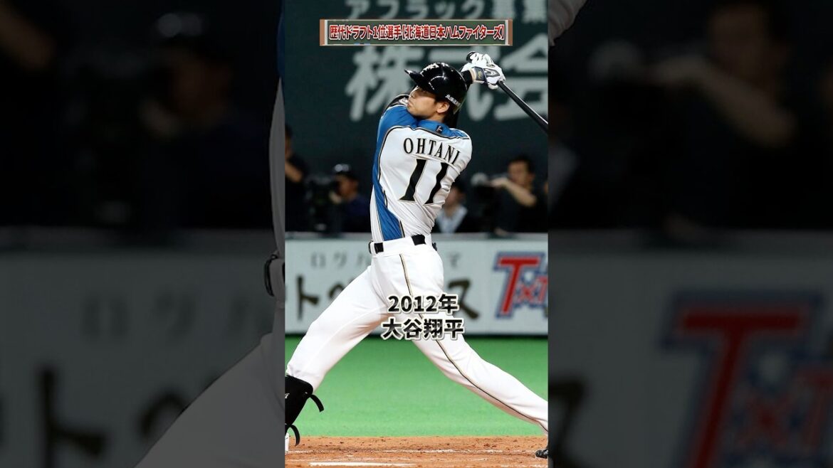 歴代ドラフト1位選手 24年成績 年俸【北海道日本ハムファイターズ】#npb #野球 #mlb #shoheiohtani #大谷翔平 #北海道日本ハムファイターズ