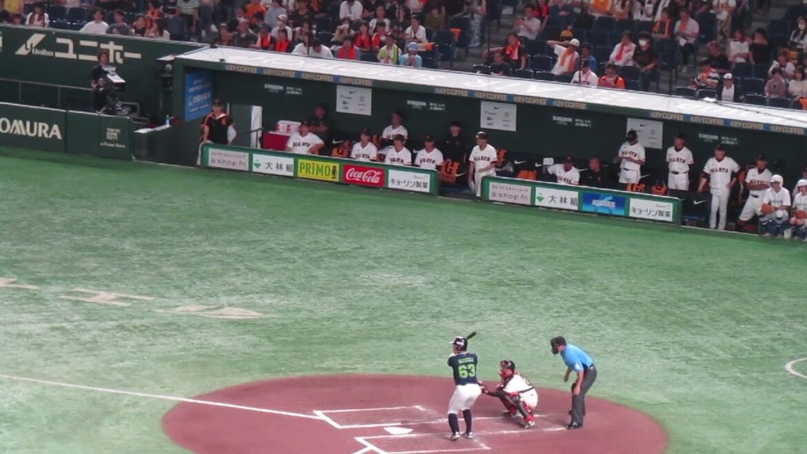 増田珠を三振に取った時などの巨人ベンチの様子＜読売ジャイアンツ 対 ヤクルトスワローズ2024年8月3日＞