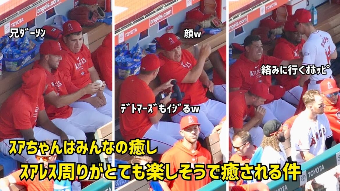 スアちゃんはみんなの癒し スアレス周りがとても楽しそうで癒された件  現地映像 エンゼルス Angels