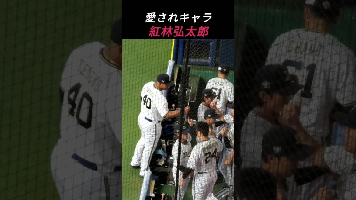 【紅林弘太郎】試合前グータッチの様子♪ #shorts