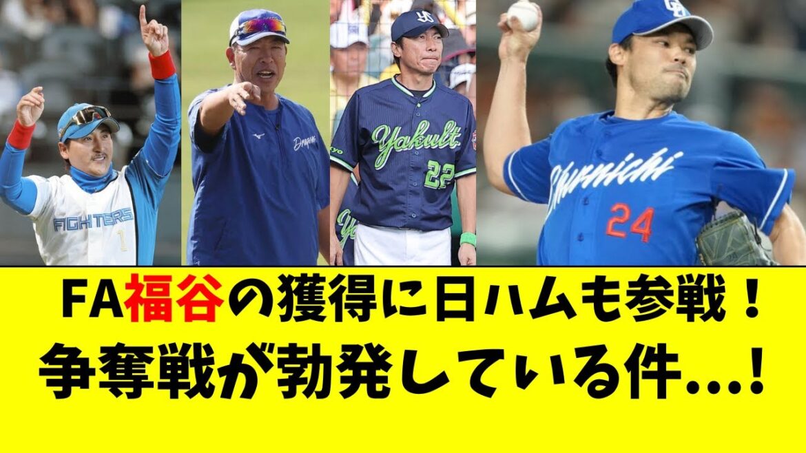 中日・FA福谷の争奪戦に日ハム参戦！争奪戦が勃発してる件