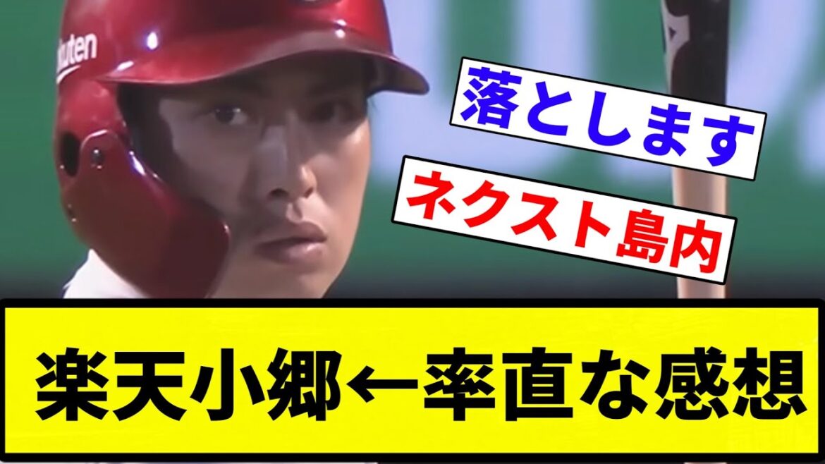 【今年は打低なのでそこそこや！】楽天小郷←率直な感想【プロ野球反応集】【2chスレ】【なんG】