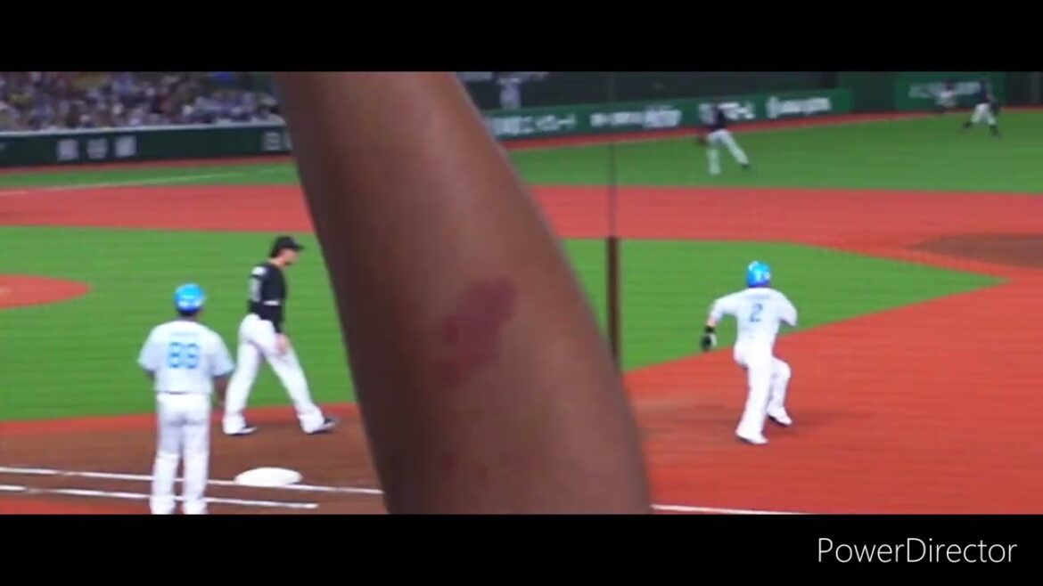 埼玉西武 岡田雅利 現役最終打席(応援歌有り)(2024/09/14ベルーナD)