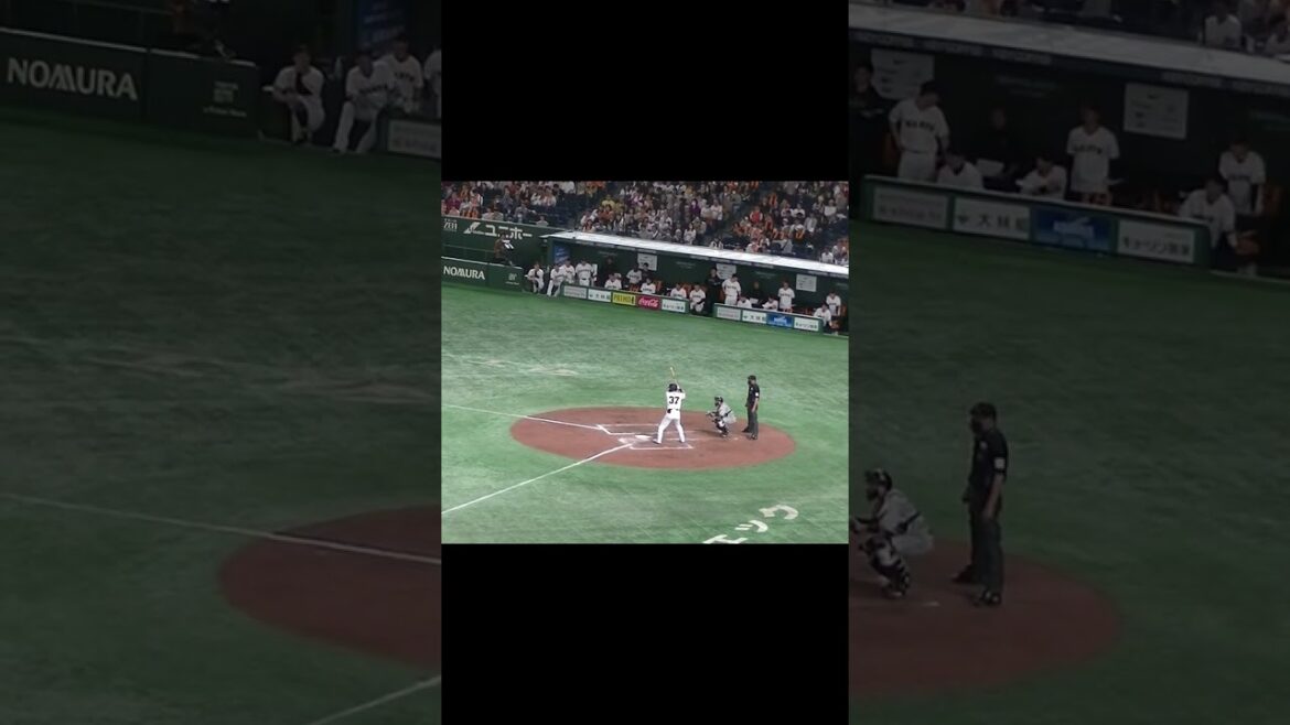 郡拓也を三振にとる門別啓人【 読売ジャイアンツ対 阪神タイガース2024年3月30日】