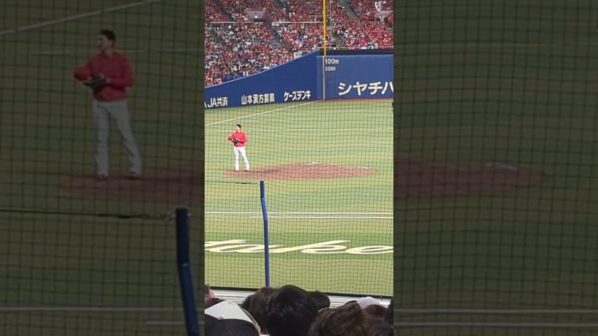 【広島の守護神】地元の星栗林良吏 #野球