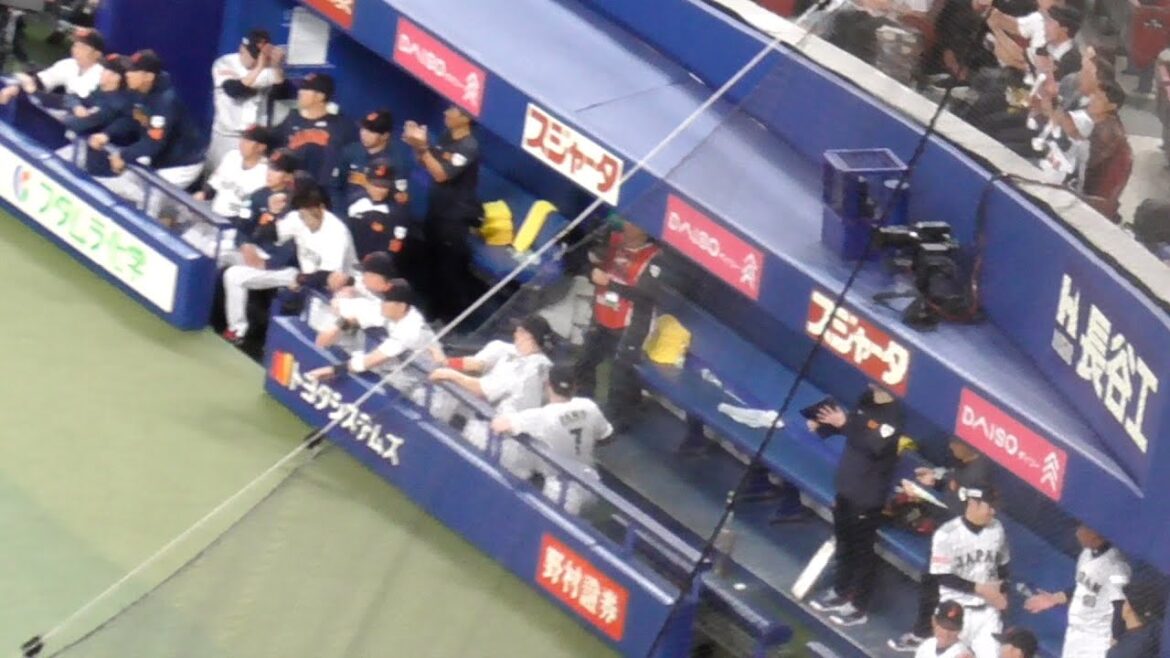 勝利の瞬間の侍ジャパンベンチ　初戦快勝！プレミア12 日本VSオーストラリア　2024/11/13