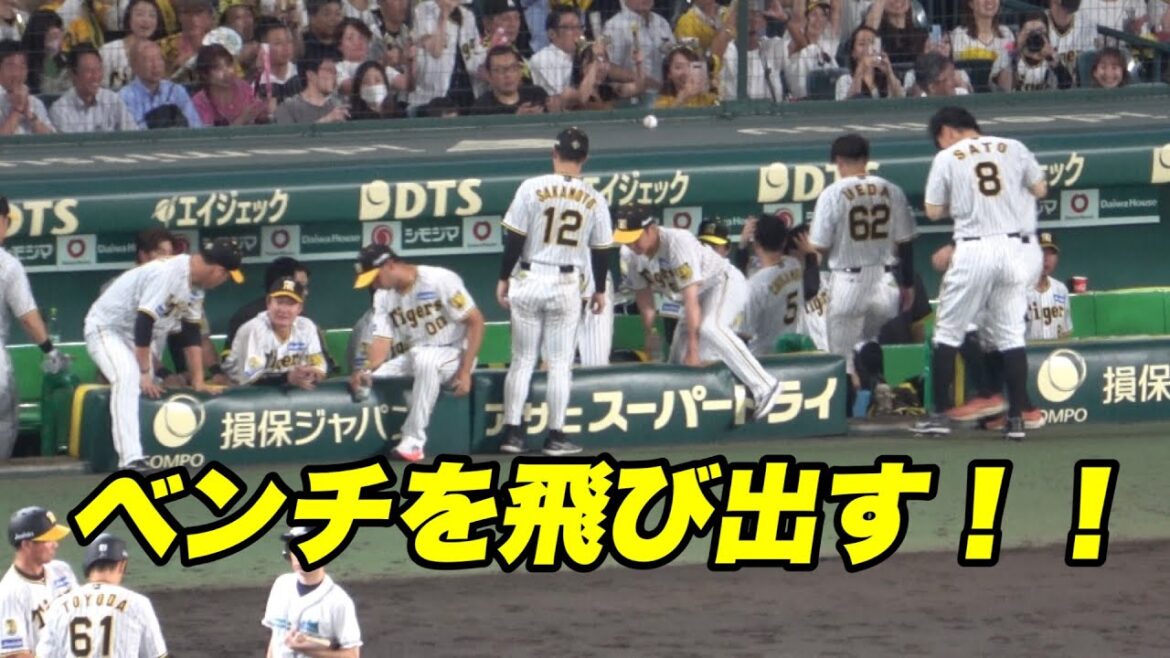 【ハヤトチリ笑 サヨナラを確信したがサヨナラならずベンチに戻る阪神の選手達!笑】