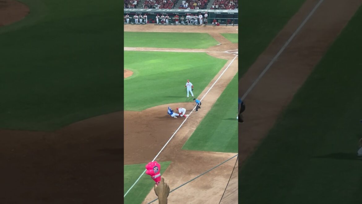 細川暴走⁉️大西コーチはストップ⚠️攻めた結果だけど...😰なんとかチャンス広げたかった💦2024.8.3広島戦1-4逆転負け😰マツダ・ビジターパフォーマンス席 #中日 #ドラゴンズ　#広島