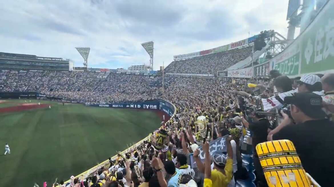 井上 第3号3ランホームラン 現地 #井上広大 #ホームラン #阪神タイガース #横浜スタジアム