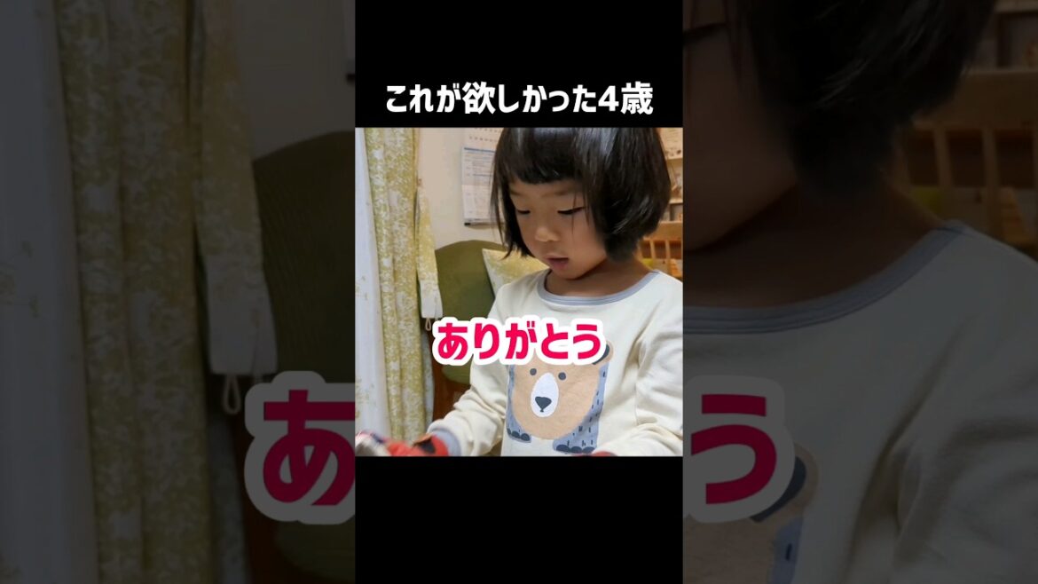 これが欲しかった4歳