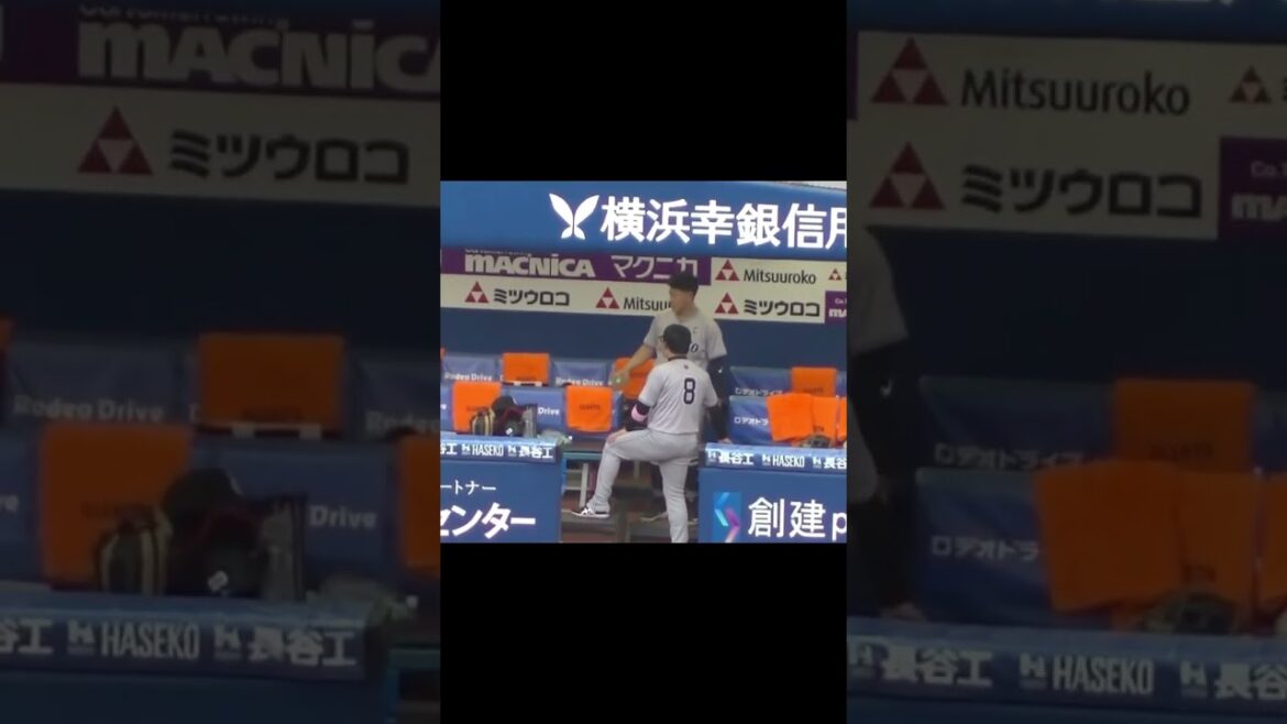 岡本和真 丸佳浩や大城卓三と楽しそうにベンチで過ごす（横浜DeNAベイスターズ対 読売ジャイアンツ 2024年6月27日）