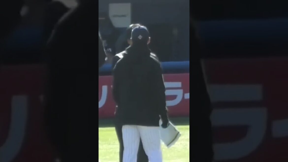 村上宗隆、西川遥輝のクイズ勝ち抜きを祝う#東京ヤクルトスワローズ #swallows #shorts