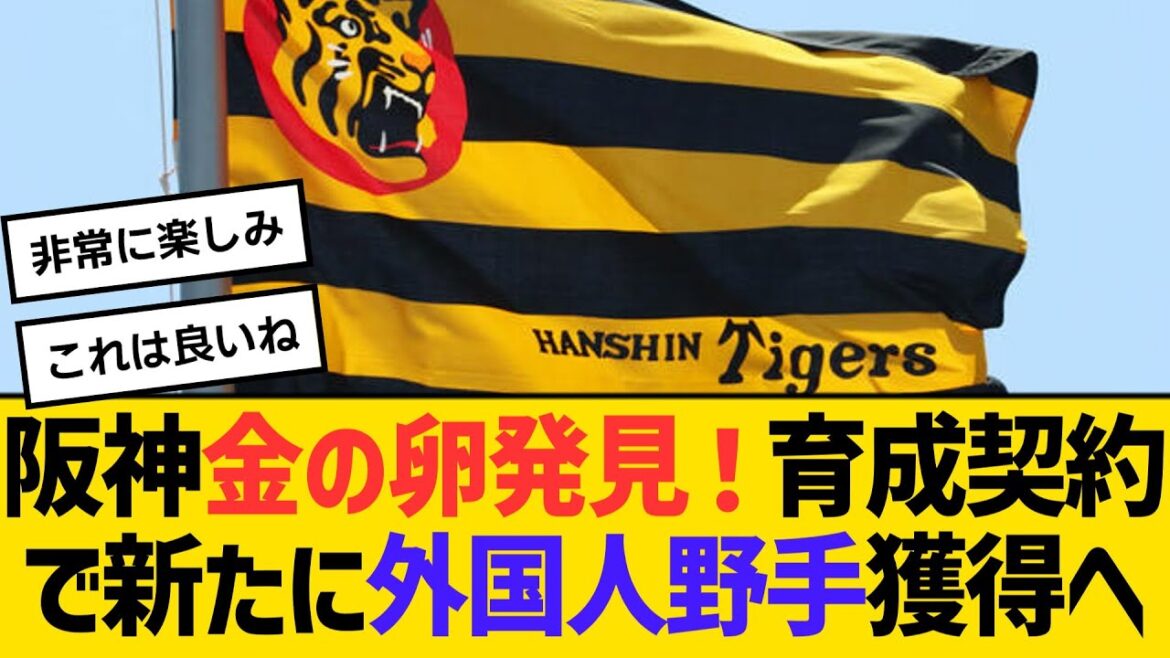 阪神が金の卵発見！育成契約で新たに外国人野手獲得へ　【ネットの反応】【反応集】