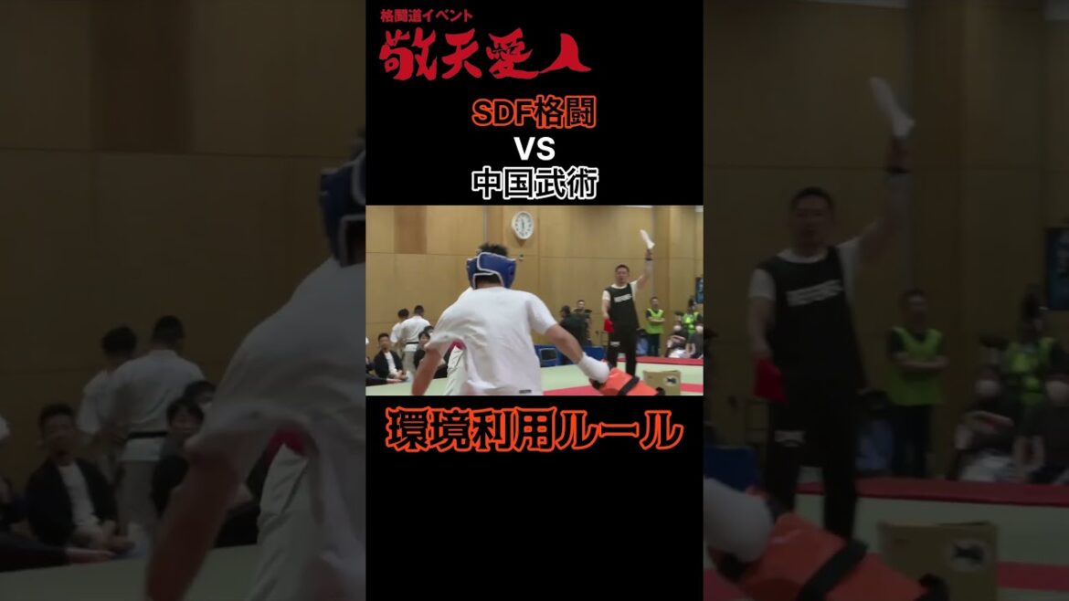 SDF格闘vs中国武術 環境利用ルール SDF格闘vs中国武術 環境利用ルール
