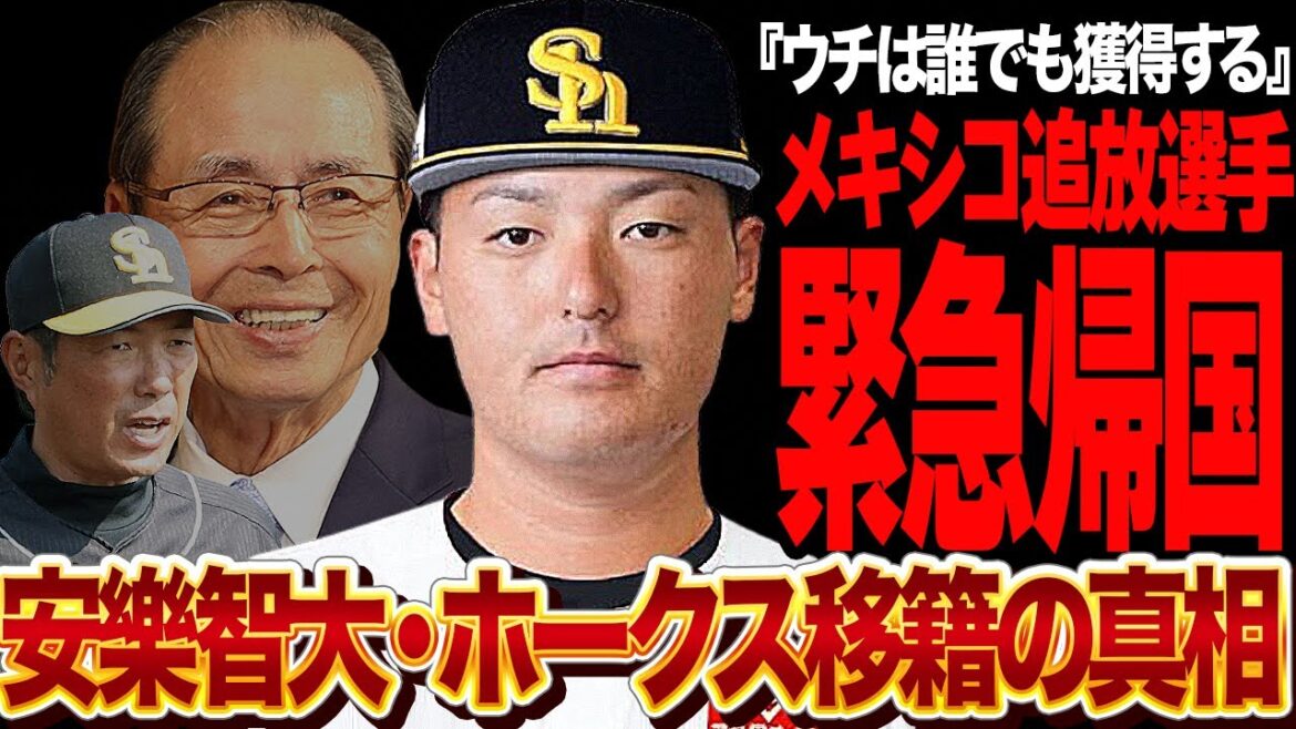 安樂智大がホークスに電撃移籍が決定的か…メキシコ追放選手が緊急帰国する真相に驚きを隠せない！ホークスフロントが『積極的に交渉する』と明言、来季日本一を獲る為の驚きの補強が…【プロ野球】