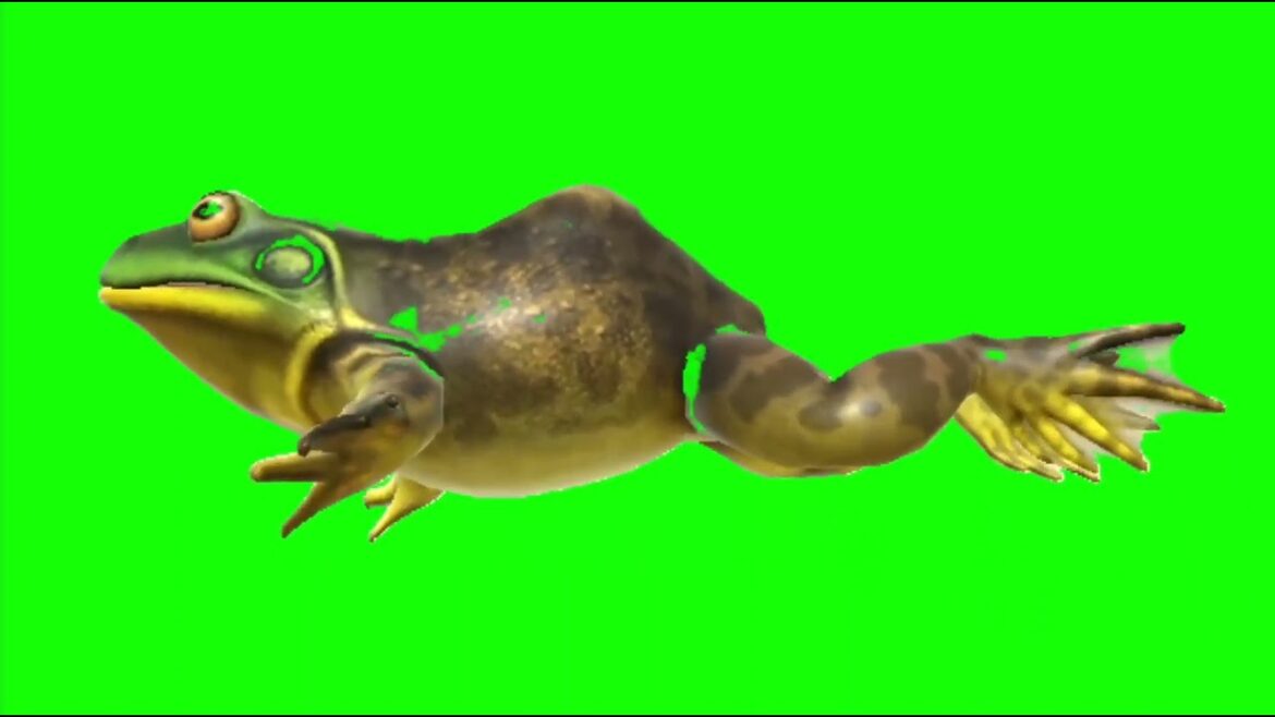 釣りスピリッツ ウシガエル GB素材 #ゲーム #games #gameplay #game #釣り #釣りスピリッツ #釣りスピリッツ水族館 #水族館 #japanese #ウシガエル 釣りスピリッツ ウシガエル GB素材 #ゲーム #games #gameplay #game #釣り #釣りスピリッツ #釣りスピリッツ水族館 #水族館 #japanese #ウシガエル