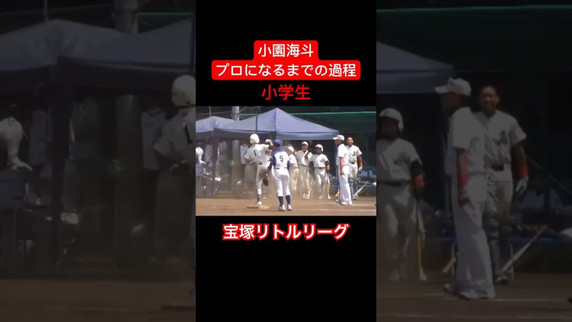 【逸材】小園海斗がプロ野球選手になるまでの過程#shorts