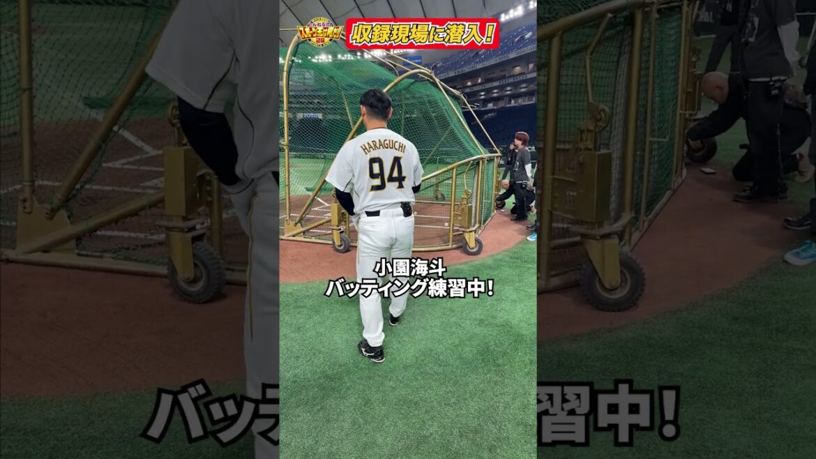 【#潜入】#スポーツ王 #リアル野球BAN の収録の裏側