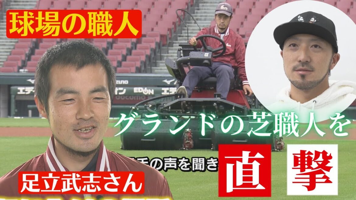 【職人企画】菊池・矢野のW守備職人ならぬ芝職人がマツダスタジアムにはいる！？グランドの芝職人を直撃！！