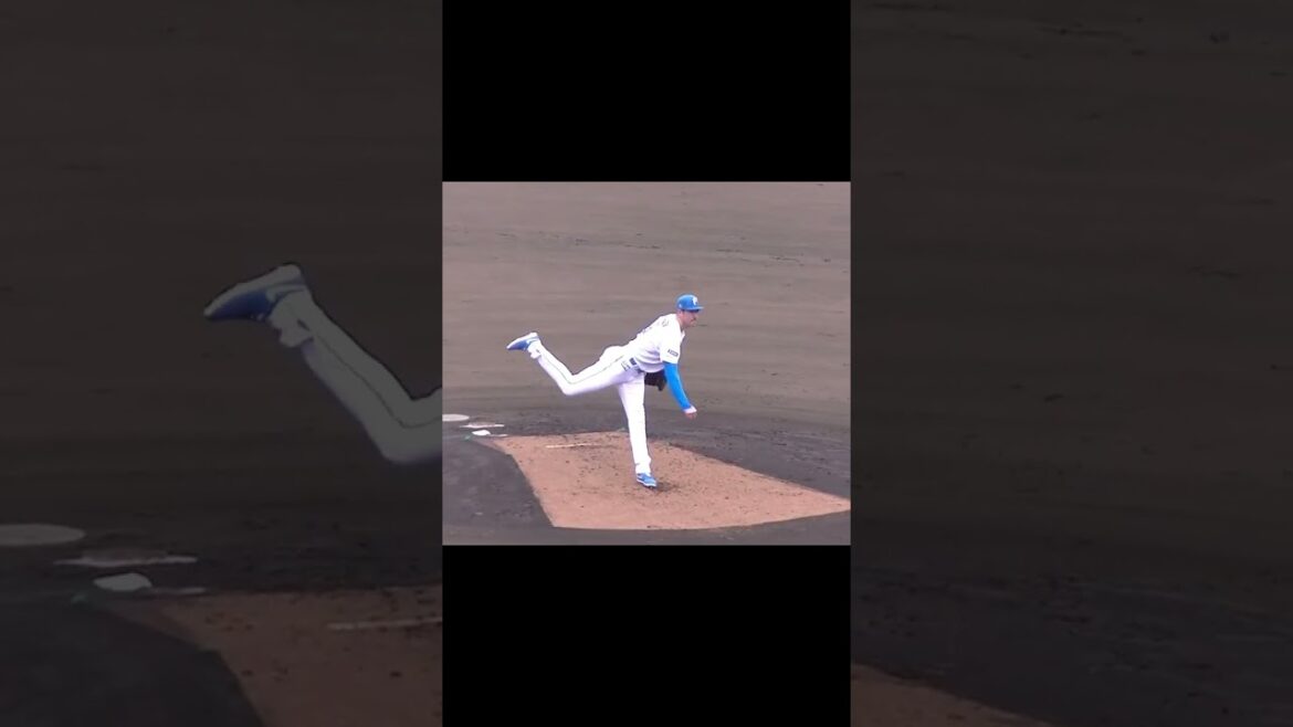 【ファイターズ】バーヘイゲン投球フォーム2024年4月23日