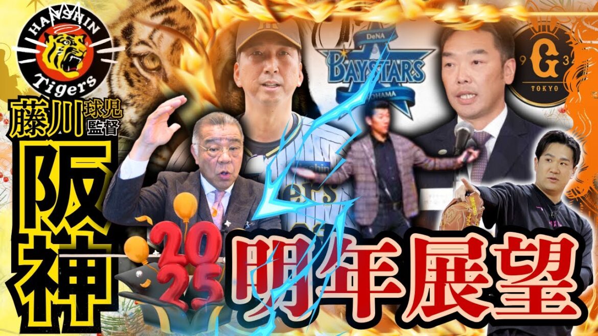 【阪神タイガース 藤川球児監督対談情報 掛布雅之の憧球 】⚾2025明年展望⚾読売ジャイアンツ補強情報⚾覚醒 横浜DeNA⚾セ・リーグチーム別戦力分析