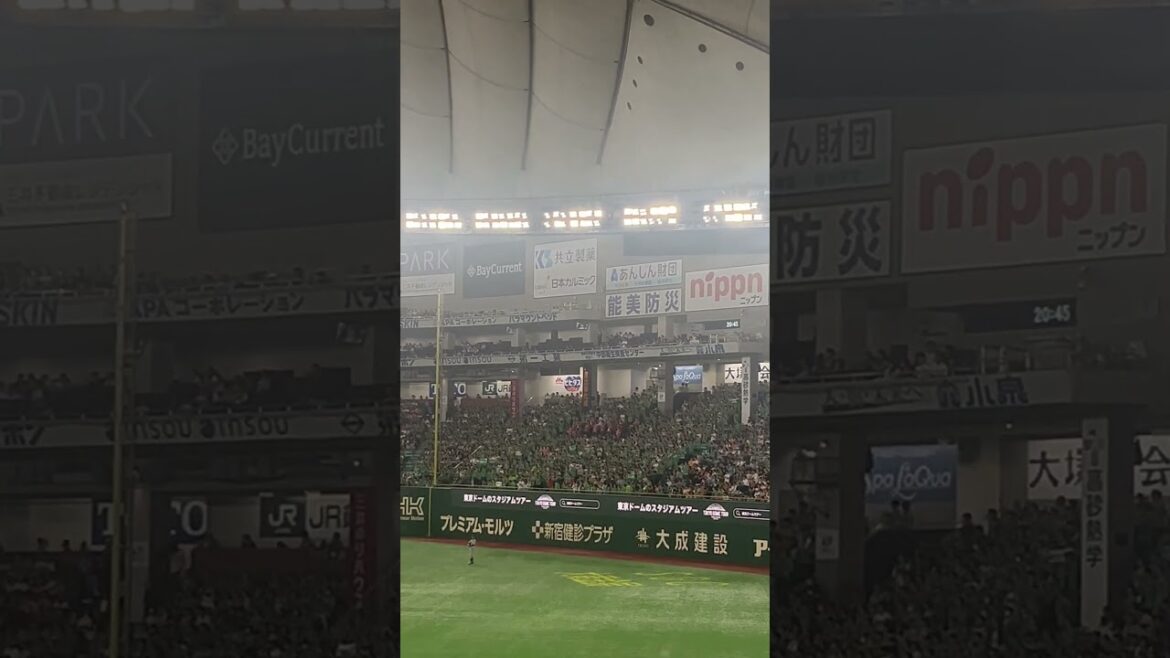 東京ヤクルトスワローズ 西川遥輝 応援歌