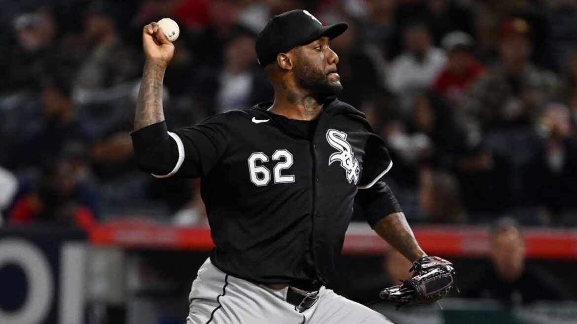 Enyel De Los Santos 2024 Highlights!