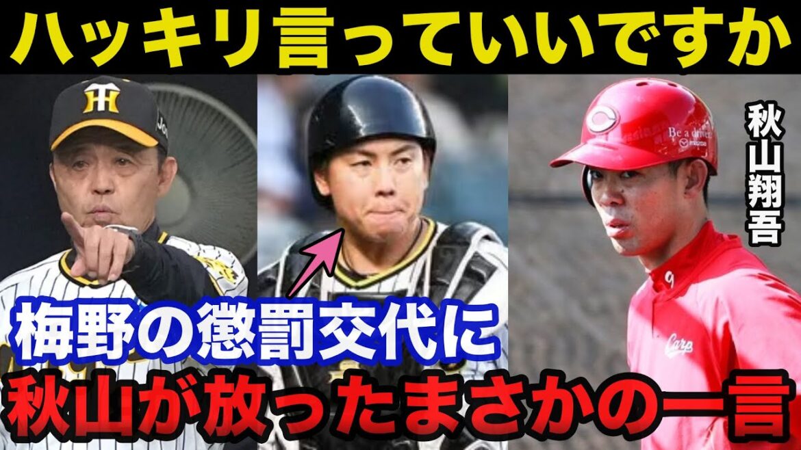 阪神.岡田監督による梅野隆太郎懲罰交代に広島.秋山翔吾が放ったまさかの一言に一同驚愕【阪神タイガース/プロ野球】 阪神.岡田監督による梅野隆太郎懲罰交代に広島.秋山翔吾が放ったまさかの一言に一同驚愕【阪神タイガース/プロ野球】