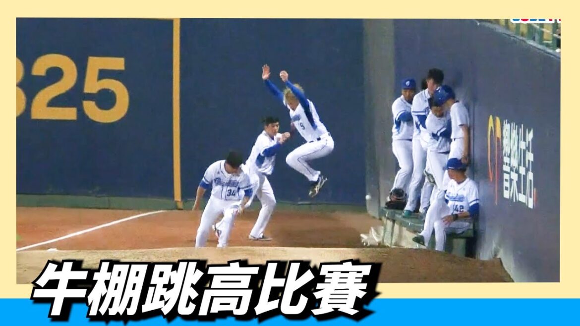 張奕很會跳～「牛棚跳高比賽」